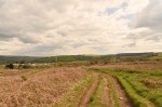 Images for Llanboidy, SA34