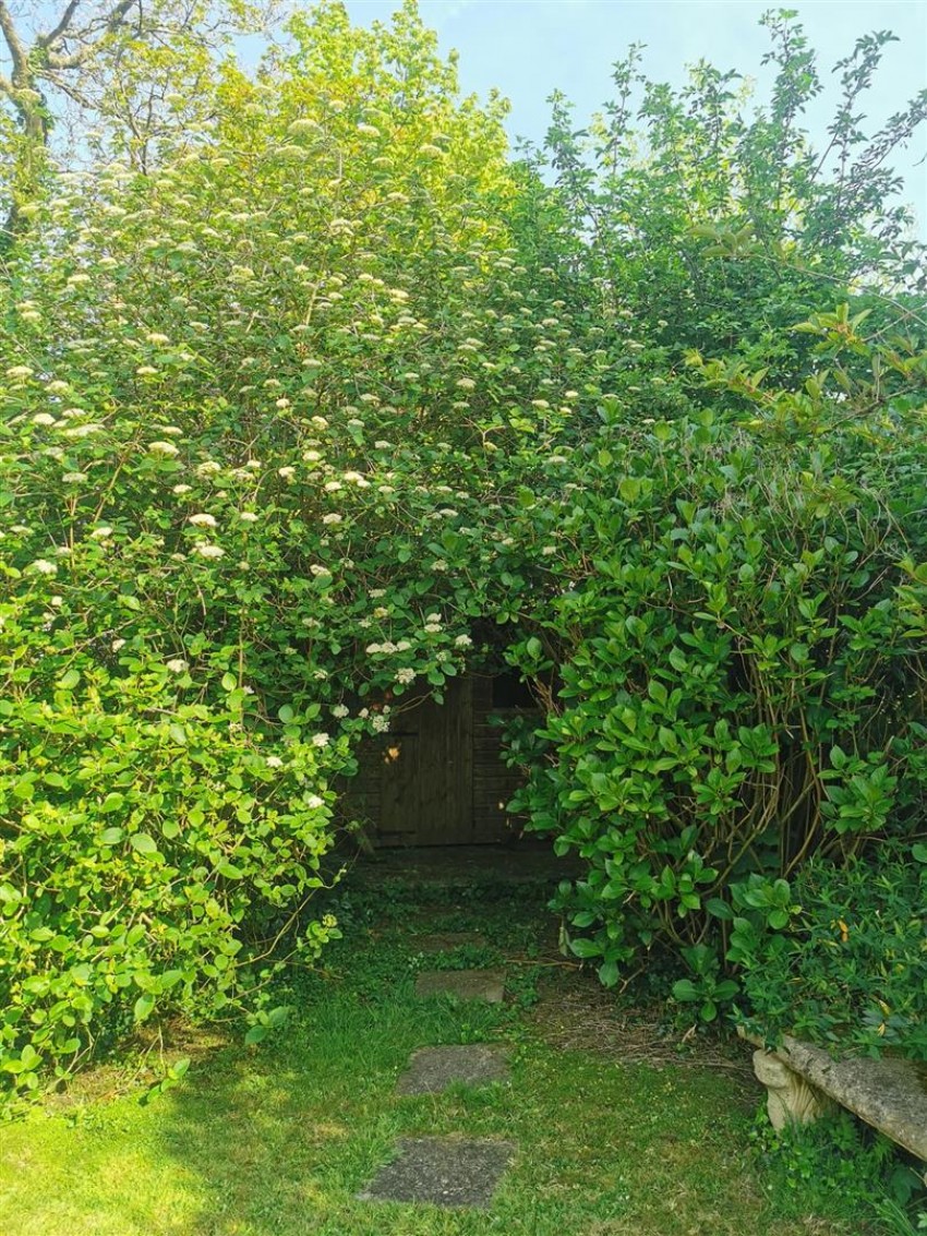 Images for Crosslyn, Spittal, Haverfordwest EAID:RKLUCASAPI BID:1