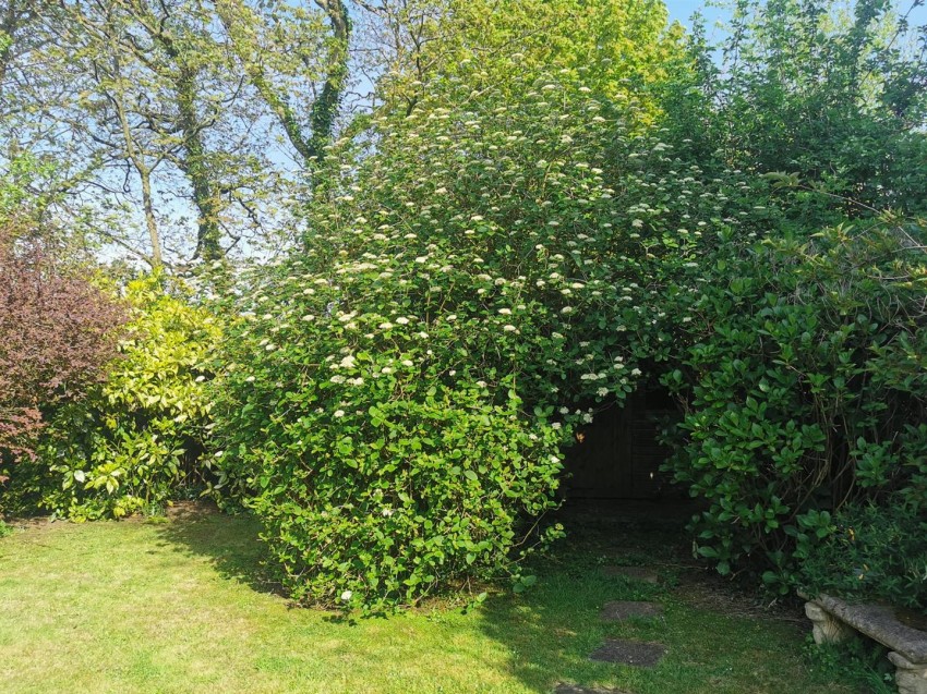 Images for Crosslyn, Spittal, Haverfordwest EAID:RKLUCASAPI BID:1