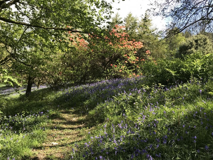 Images for Cwmpibau, The Cottage & Pontgareg, New Moat, Haverfordwest SA62 4RE EAID:RKLUCASAPI BID:1