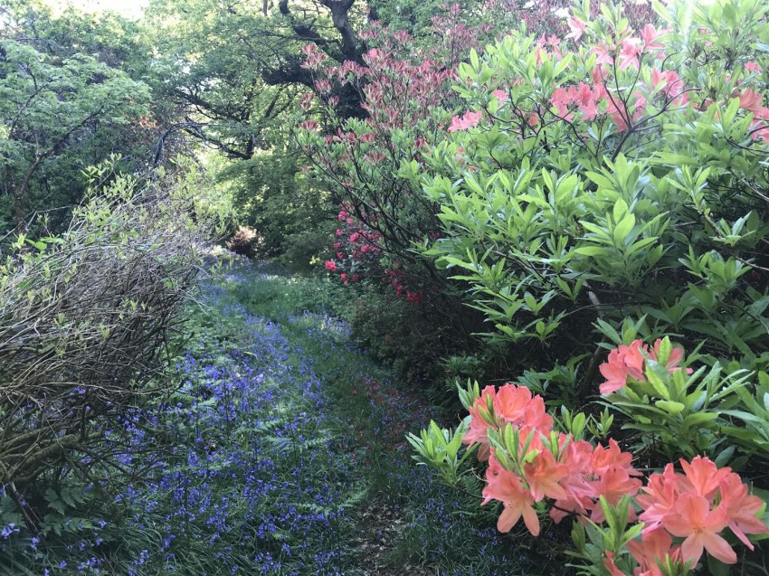 Images for Cwmpibau, The Cottage & Pontgareg, New Moat, Haverfordwest SA62 4RE EAID:RKLUCASAPI BID:1